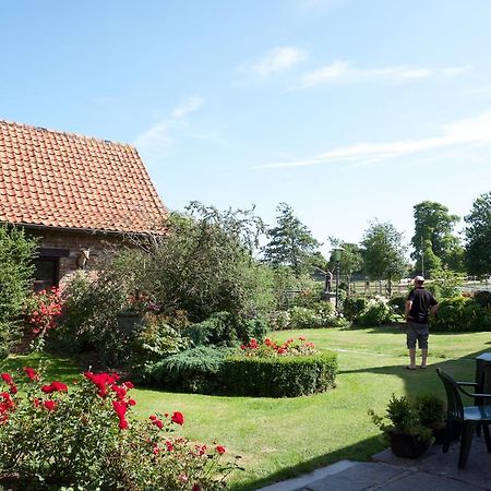 De Vitsemolenhoeve Westouter Quarto foto